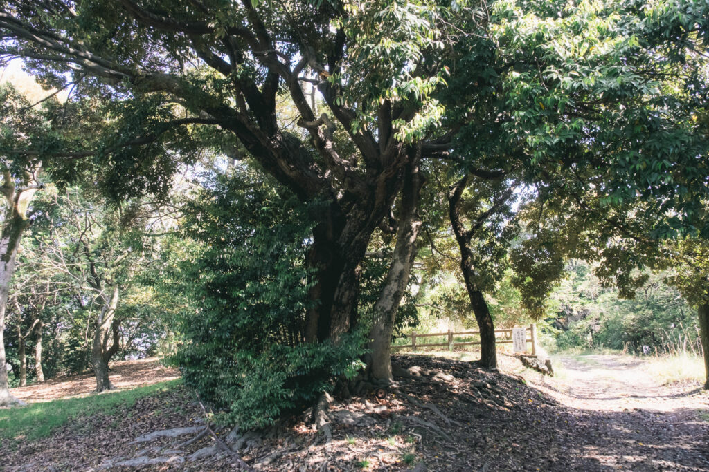 【福岡県北九州市】小倉北区 愛宕神社 2026年4月 撮影記録