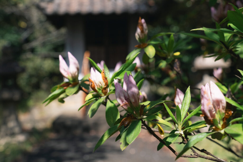 【福岡県北九州市】小倉北区 愛宕神社 2026年4月 撮影記録