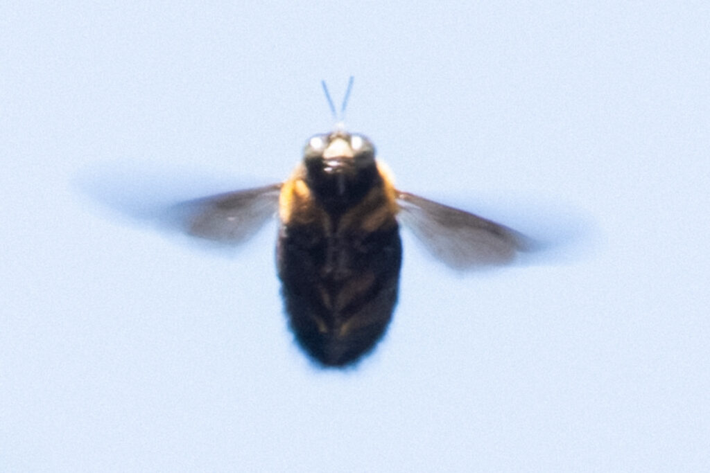 【福岡県北九州市】小倉北区 愛宕神社 2026年4月 撮影記録