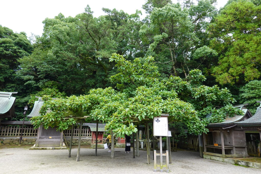 宗像大社 辺津宮 2019年9月