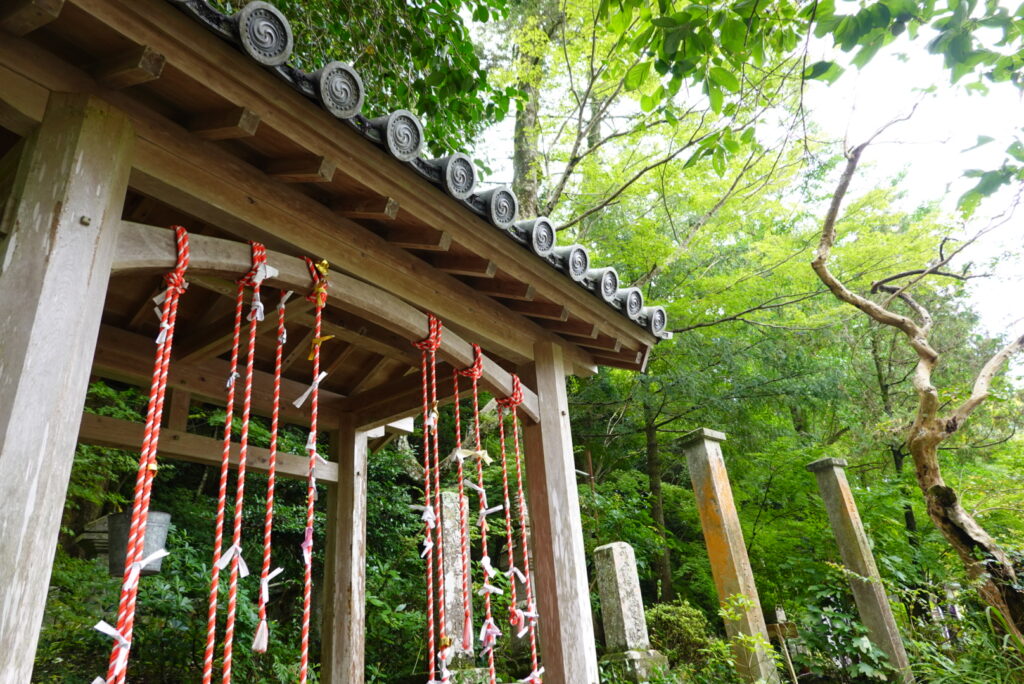 鎮国寺 2019年9月 撮影記録