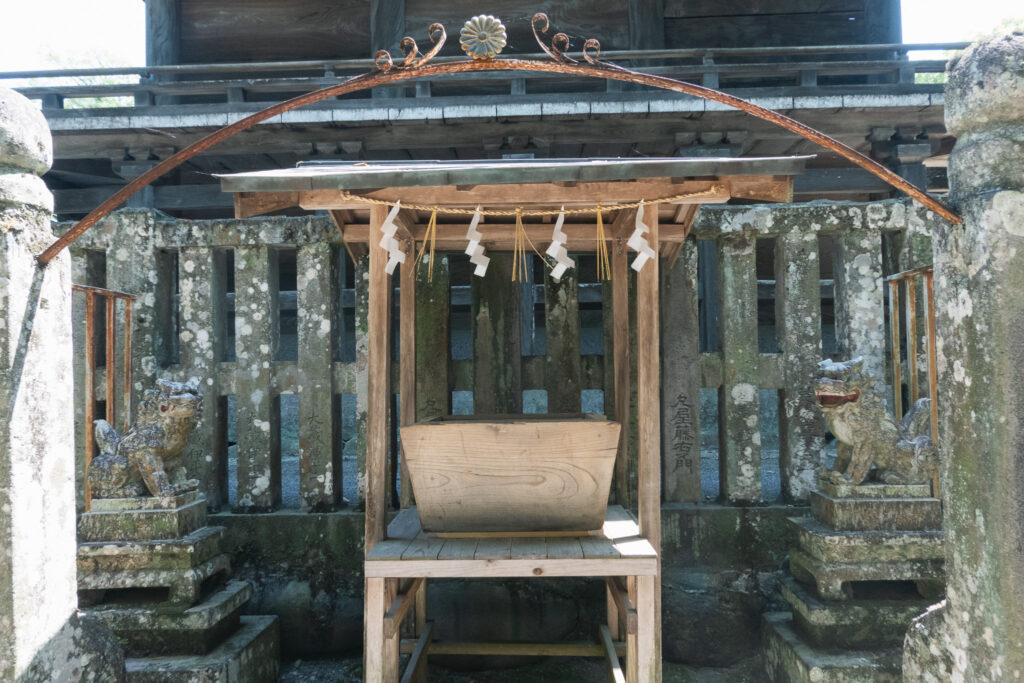 日田市 大原八幡宮の菊(蓮華紋)