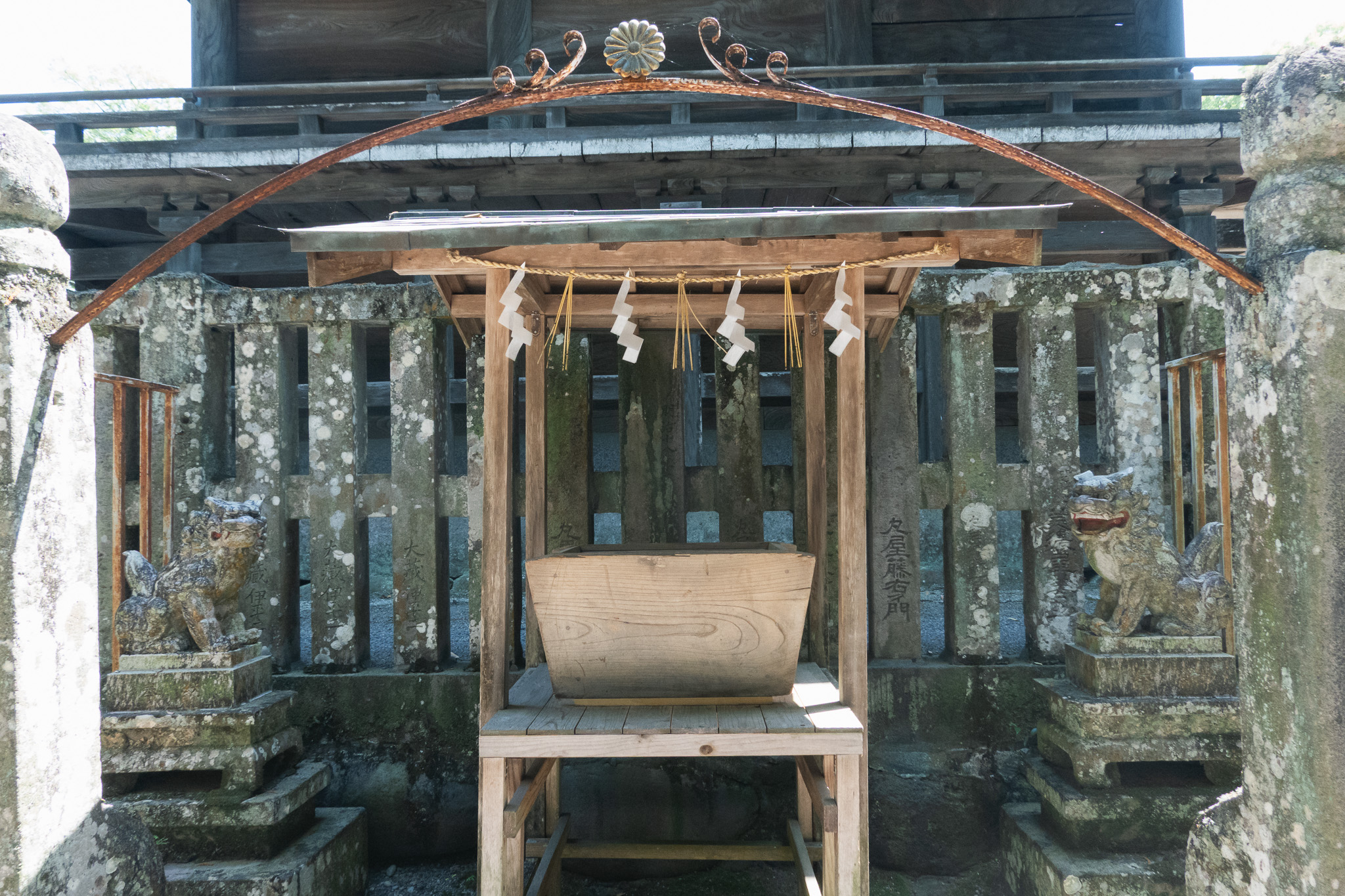 日田市　大原八幡宮の菊（蓮華紋）