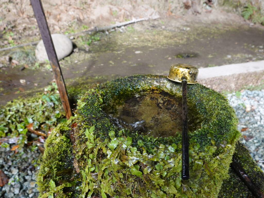 八女津媛神社 2020年1月 撮影記録