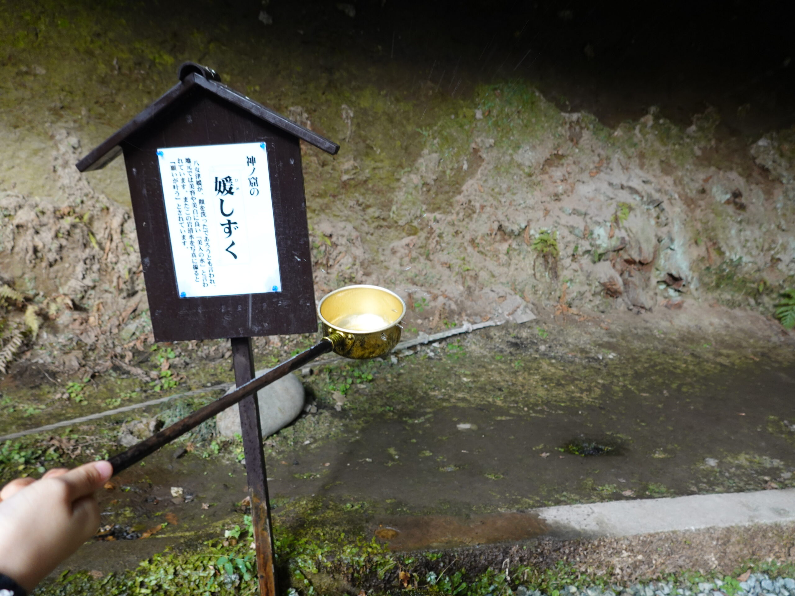 八女津媛神社 2020年1月 撮影記録