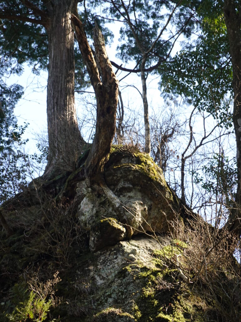 英彦山 高住神社 2020年3月