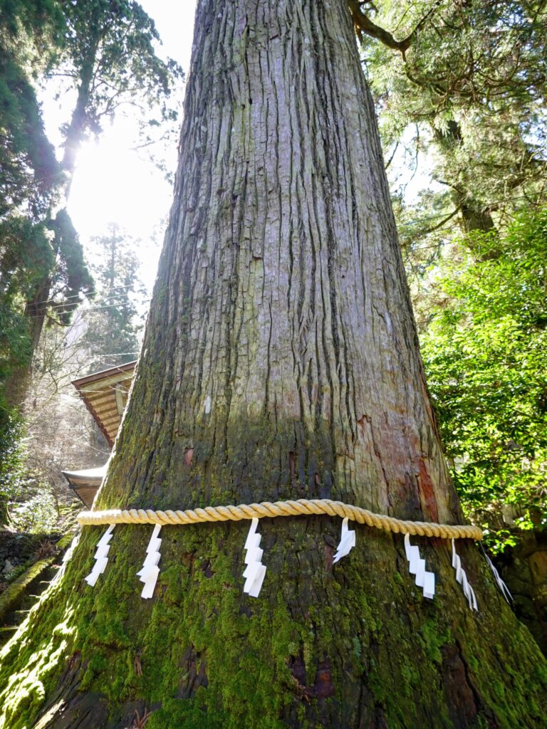 英彦山 高住神社 2020年3月