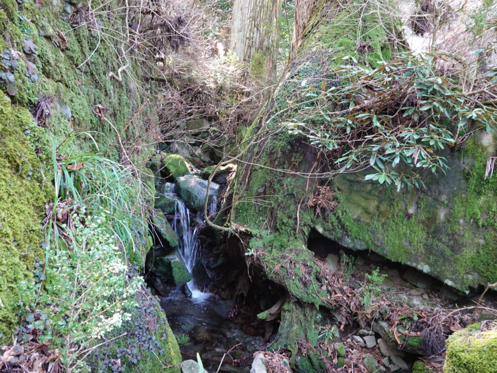 英彦山 高住神社 2020年3月