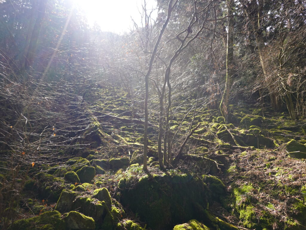 英彦山 高住神社 2020年3月