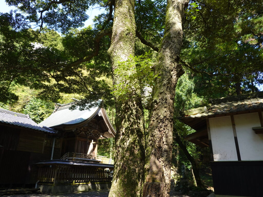 北九州市八幡西区 市瀬 鷹見神社