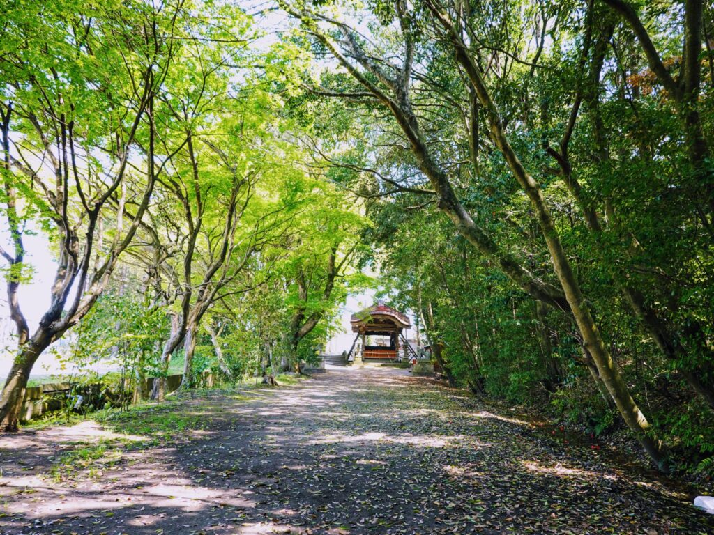 【大分県中津市】薦神社 2020年4月 撮影記録