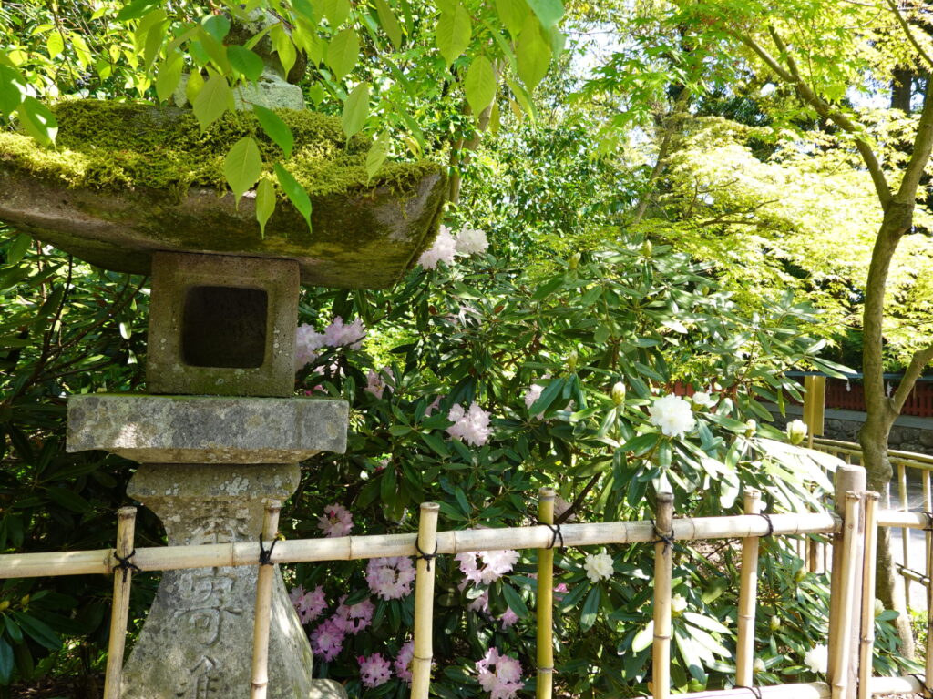 【大分県中津市】薦神社 2020年4月 撮影記録