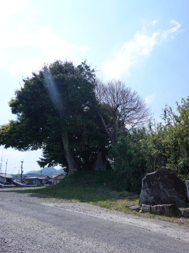 スサノオ古墳 2020年4月 撮影記録