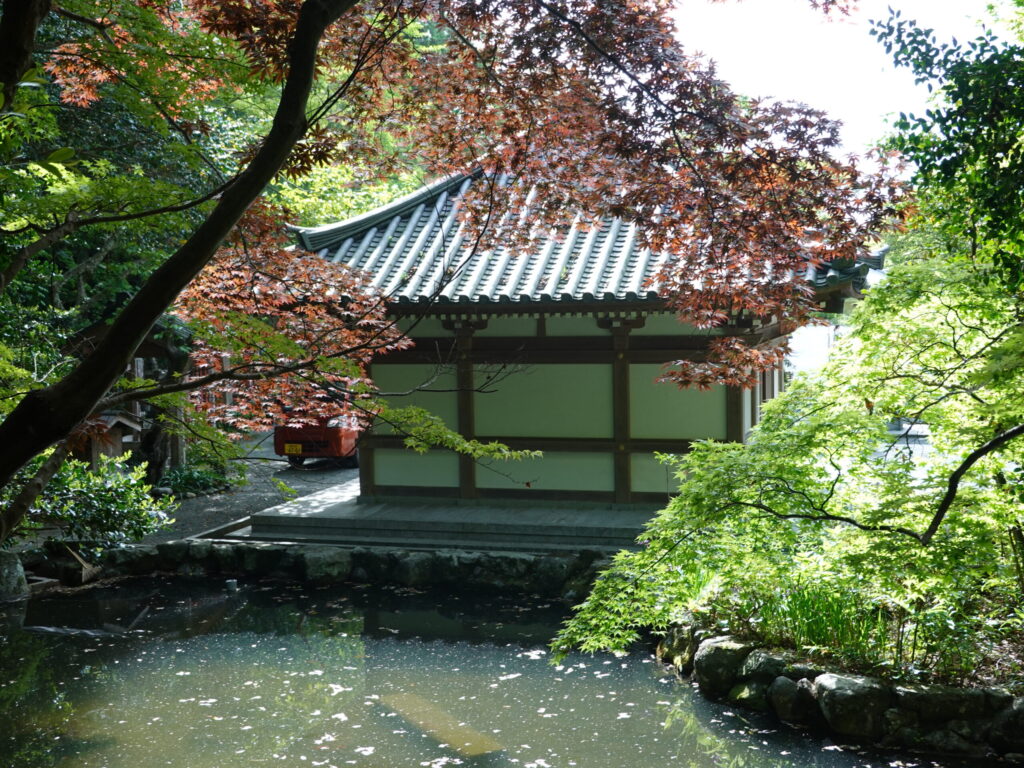【福岡県宗像市】鎮国寺 2020年4月 撮影記録