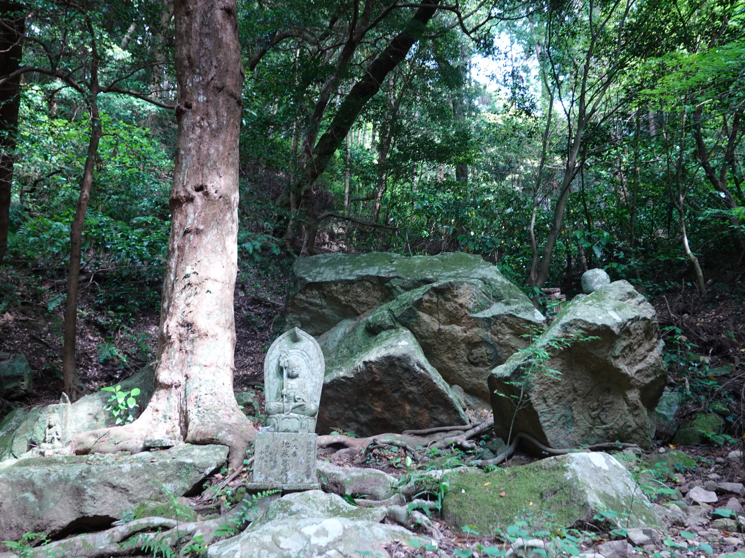 【福岡県宗像市】鎮国寺 2020年4月 撮影記録