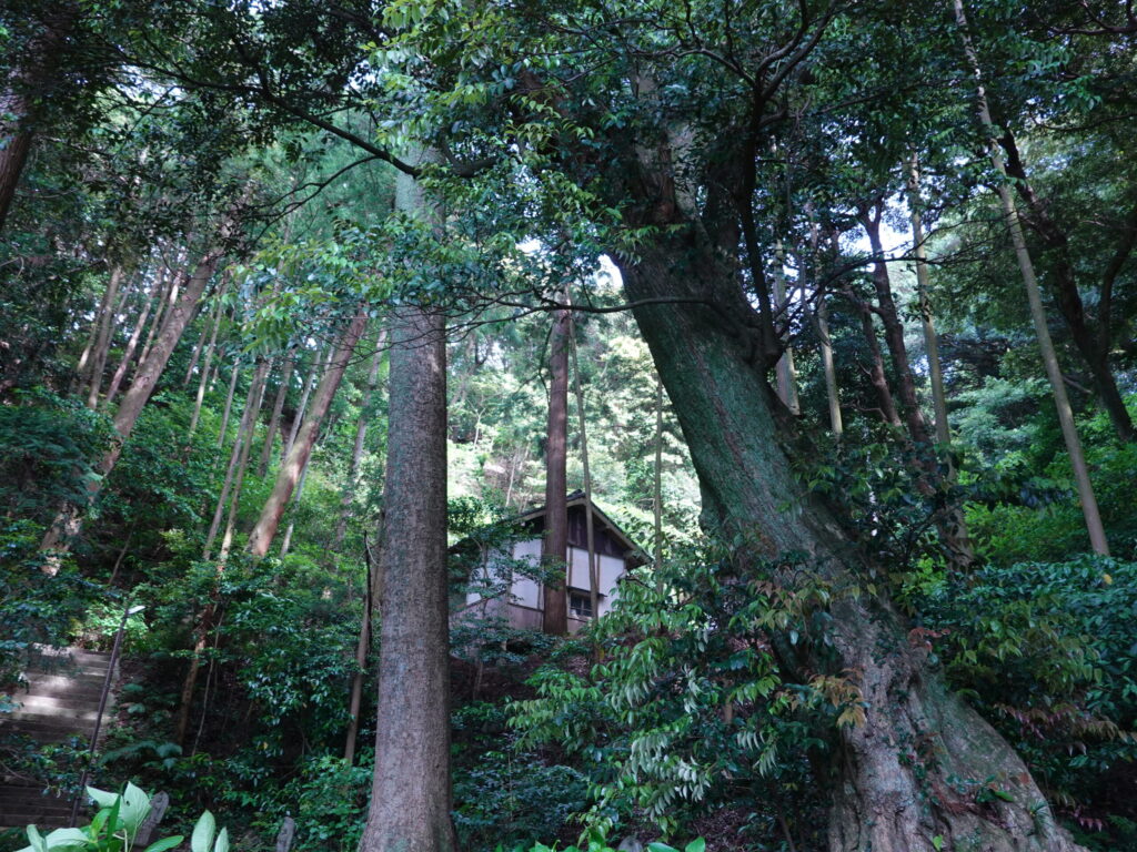 【福岡県宗像市】鎮国寺 2020年4月 撮影記録