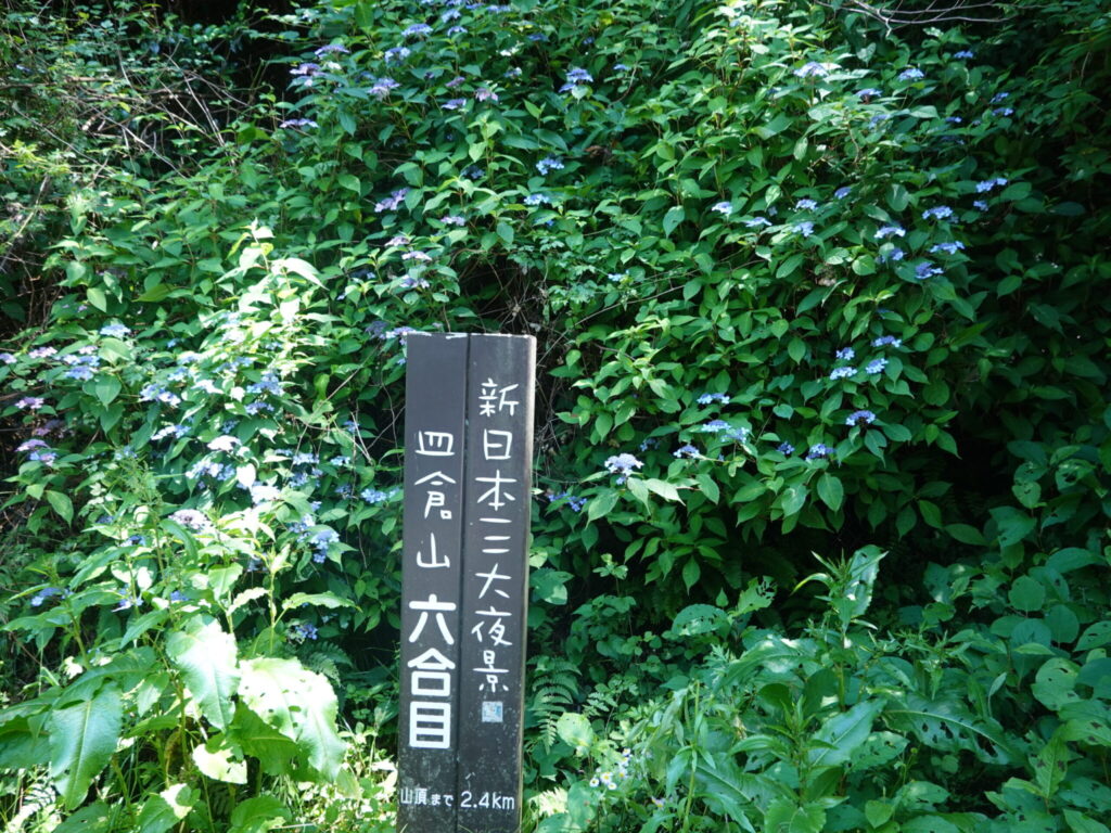 Mt. Sarakura
