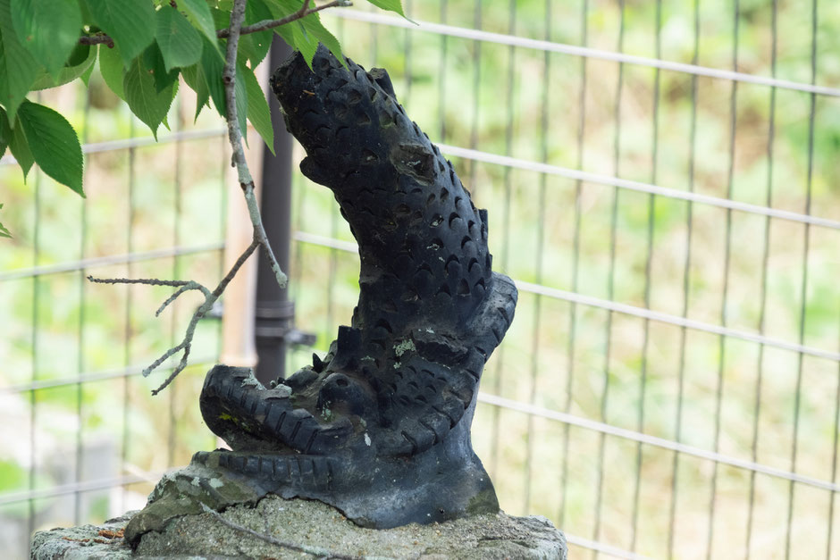 なぜ「鯱（シャチホコ）」が神社の隅に置かれていたのか？みやこ町と宇佐市の事例から浮かぶ共通点は「雌雄」「一対」「阿吽」