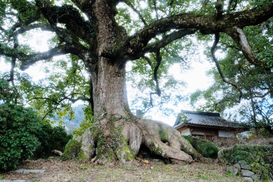 白山神社　豊前市