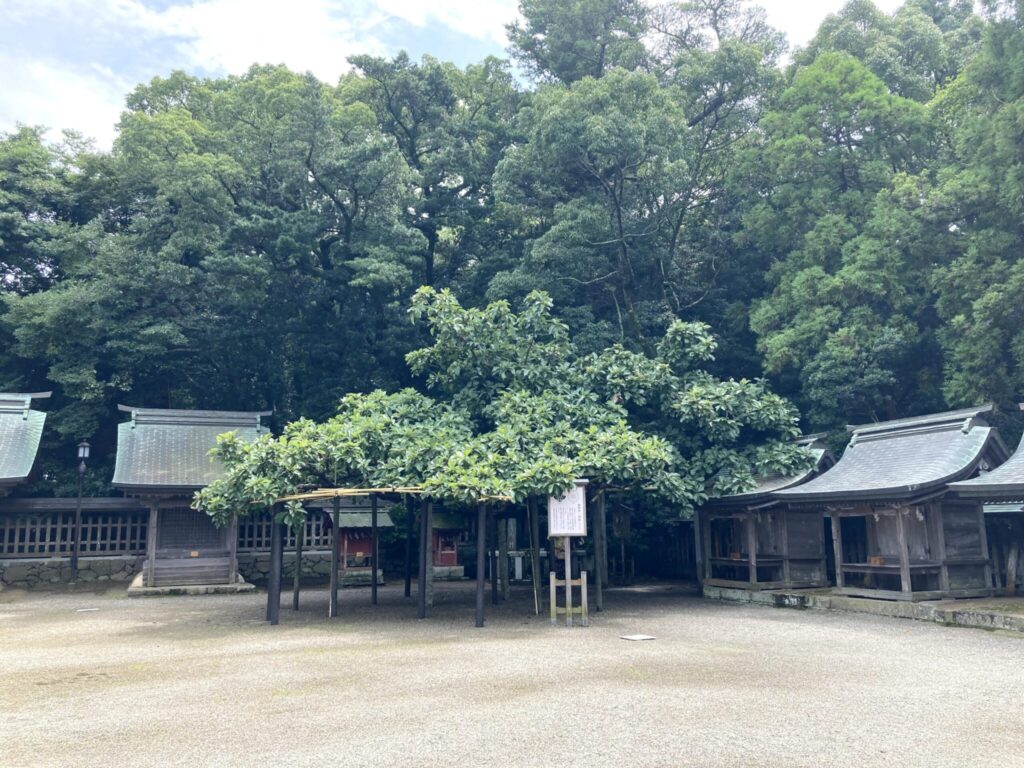 Muanakata Taisha 2021