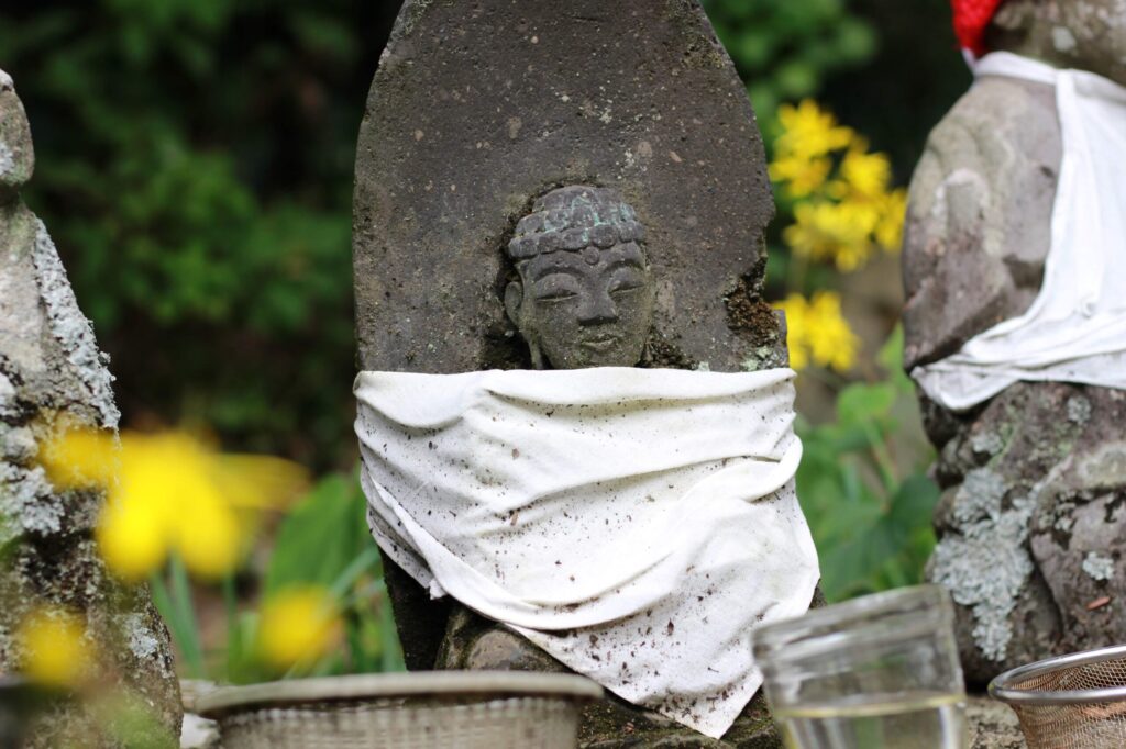 鎮国寺 2019年11月 撮影記録