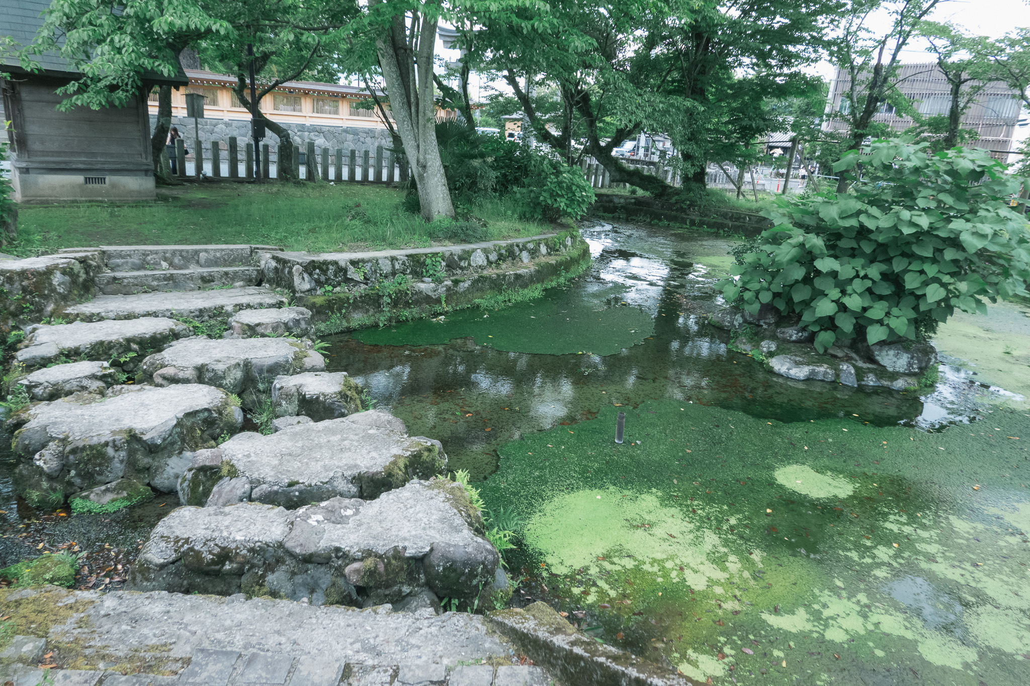 阿蘇神社