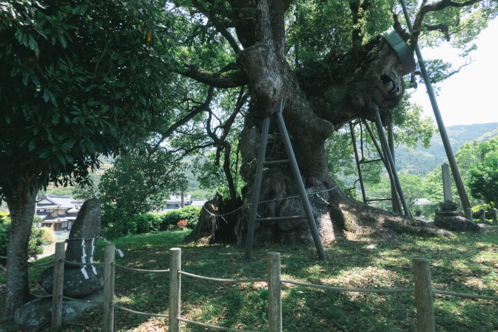 大楠神社