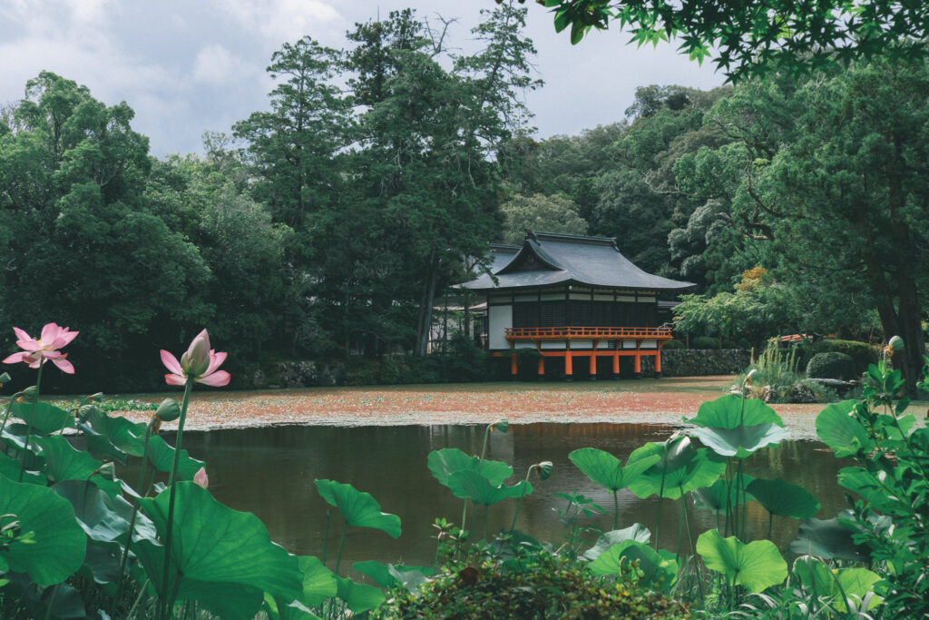 菱形池