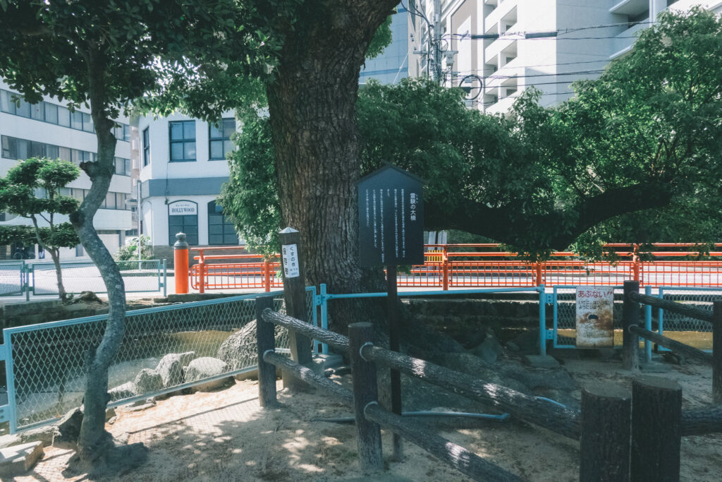 住吉神社 楠