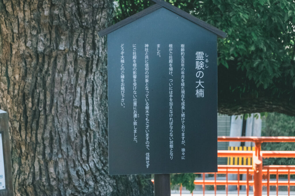 住吉神社 天津神社 霊験の大楠