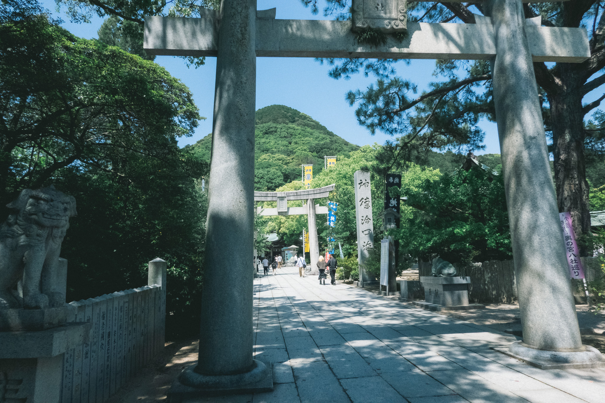 【福岡県福津市】宮地嶽神社 撮影記録 2026年5月