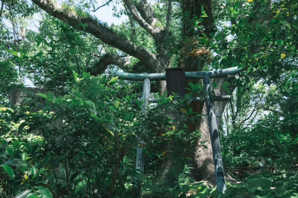 宮地嶽神社 御本殿跡