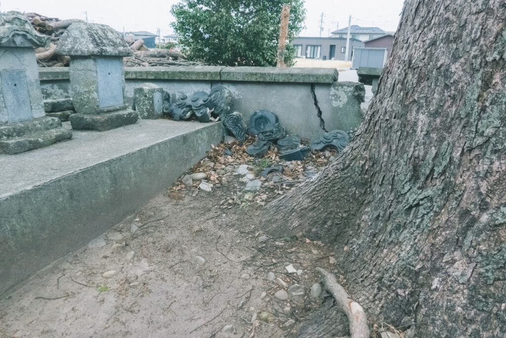 木の奥に