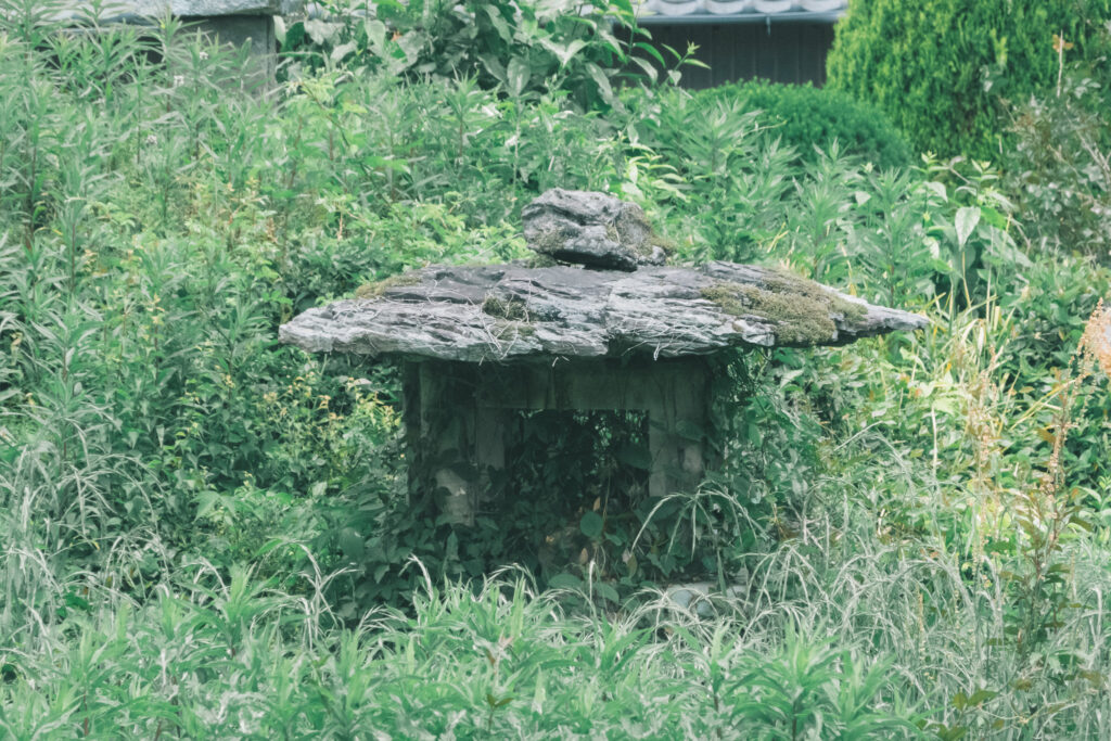 【大分県宇佐市】法鏡寺跡 撮影記録 2026年5月