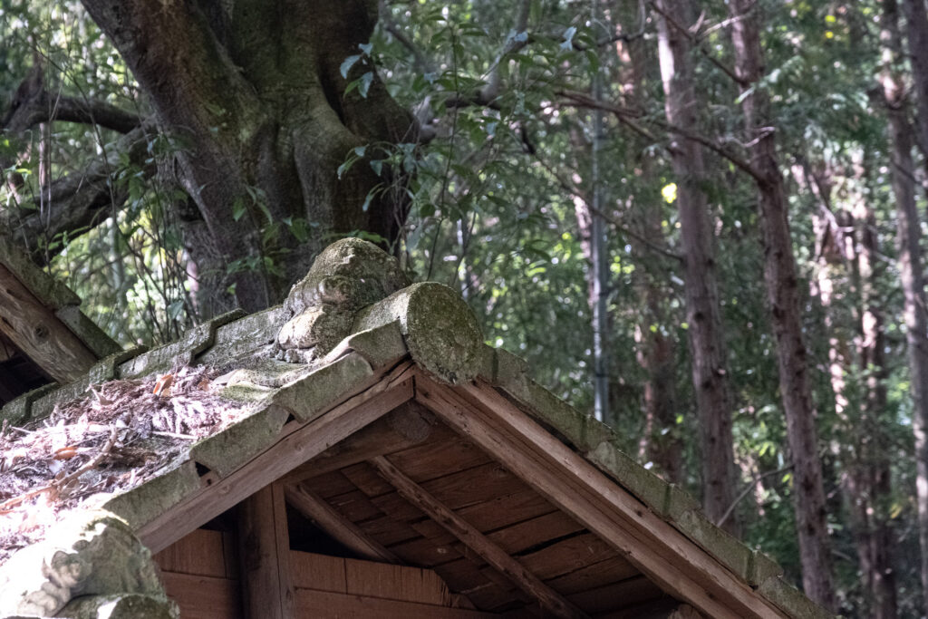 田染二宮八幡神社、山中で見つけたもの